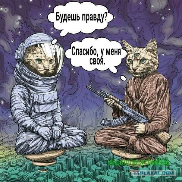 Мы и есть "Боги"