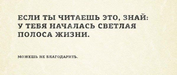Фотки и картинки: юморные и красивые, забавные и милые 03.10.20
