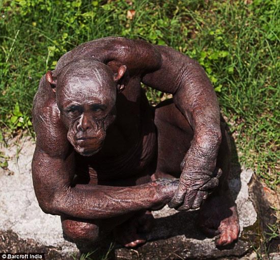 Фотожаба: Всю жизнь за решеткой