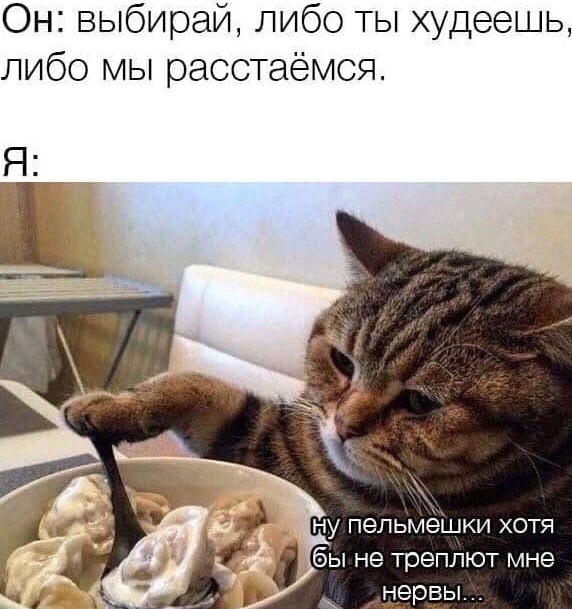 Двойной удар и предательство