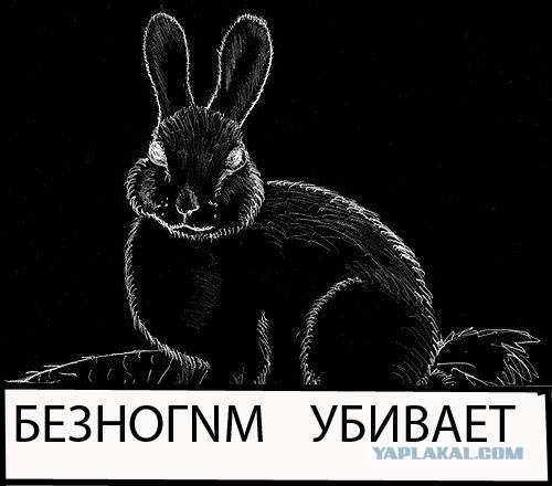 Фотожаба: Бурение убивает