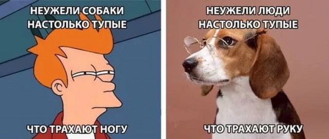 Юмор и прикольные картинки 04.12.2020