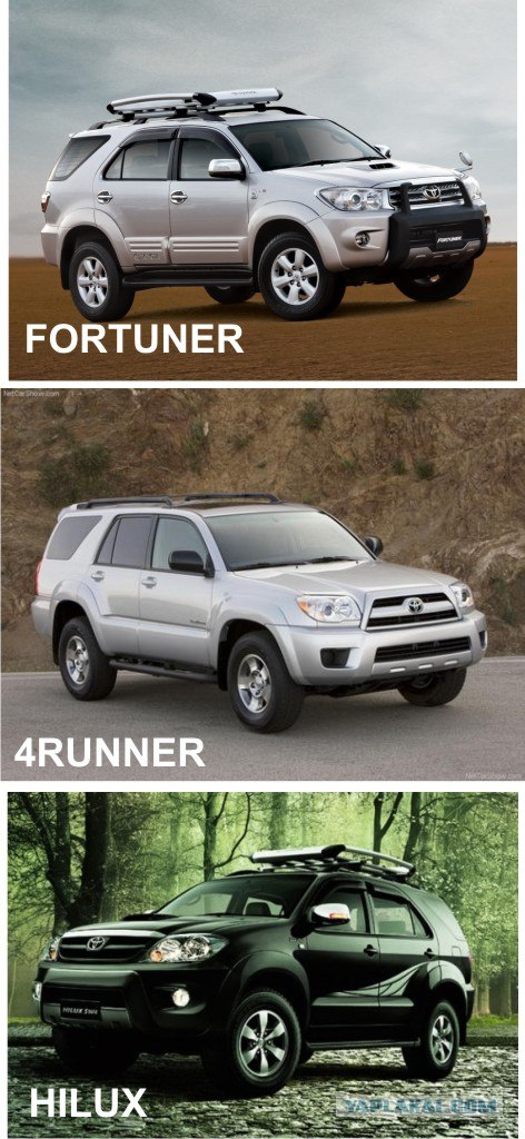 На Шершни в глиноговны