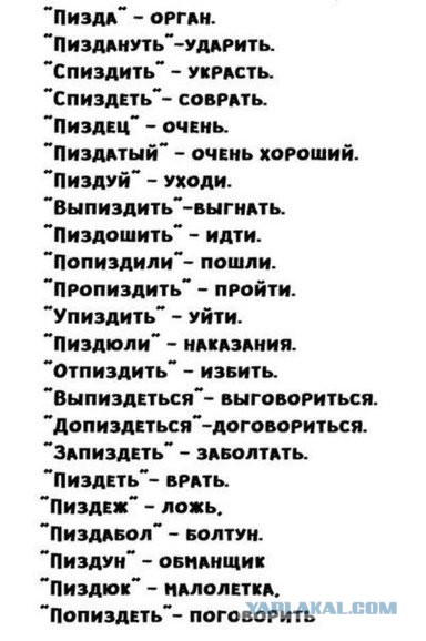 Весёлый полтишок 31.03
