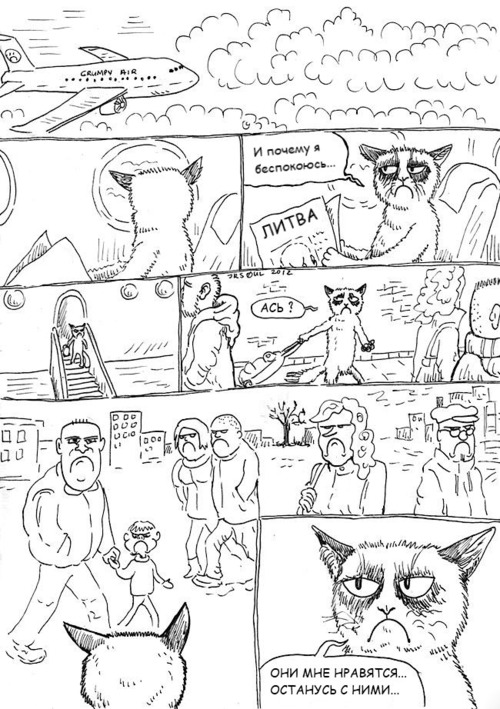 Грустный обиженный котёнок