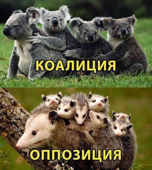 Тут что-то не так