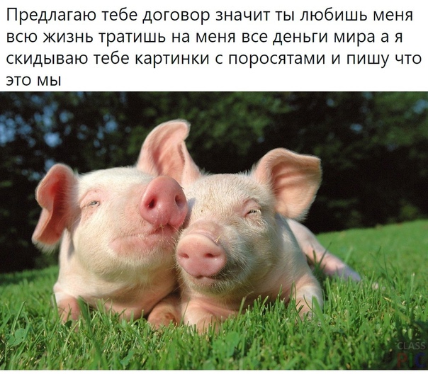 Картинки и мемы для настроения