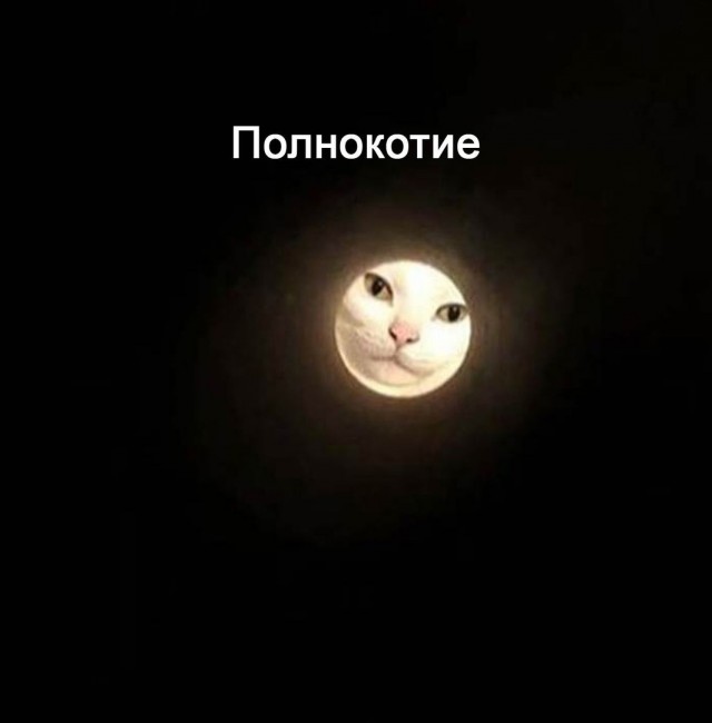 Так себе картинки 07.08.21