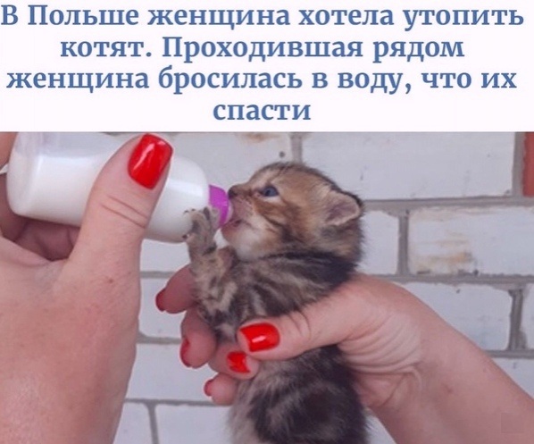 Так себе картинки 15.08.21