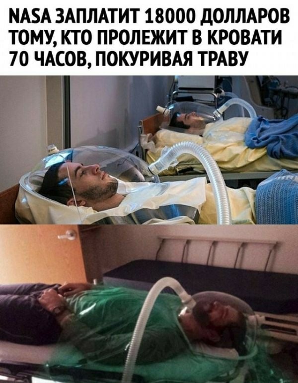 Прикольные и просто красивые картинки 01.11.2021