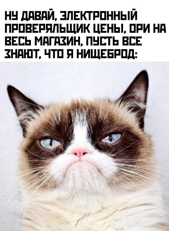 Весёлый полтишок 05.11