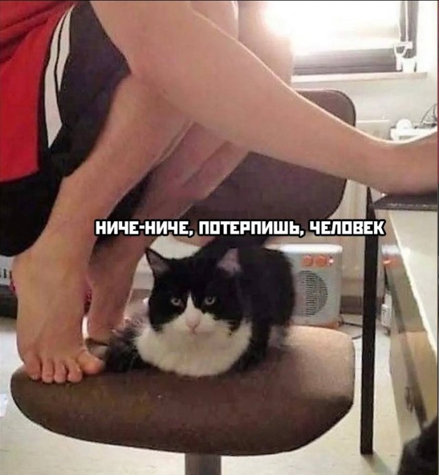 Картинки и мемы для настроения - 21