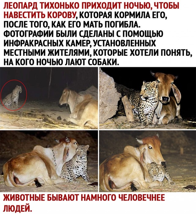 Картинки и мемы, всем хороших выходных