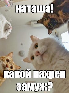 Почему женщины 40+ не торопятся выходить замуж