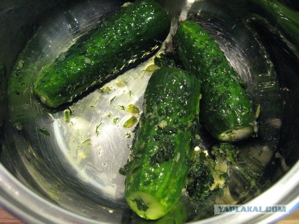 Хрустящий огурчик - наше всё на пятницу
