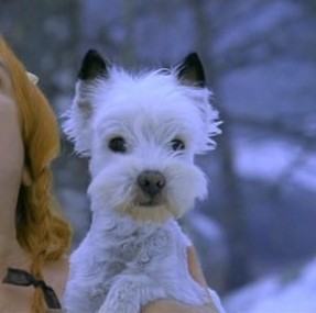 Кадырикс и Обеликс