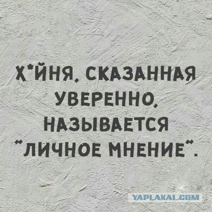 Диванные эксперты