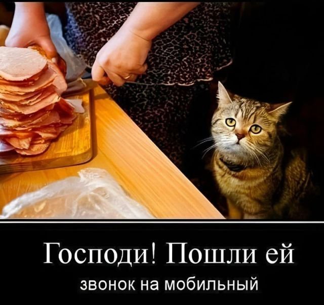 Тлидцать тли от 22 февлаля
