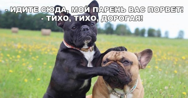 Тлидцать тли от 13 маЛта