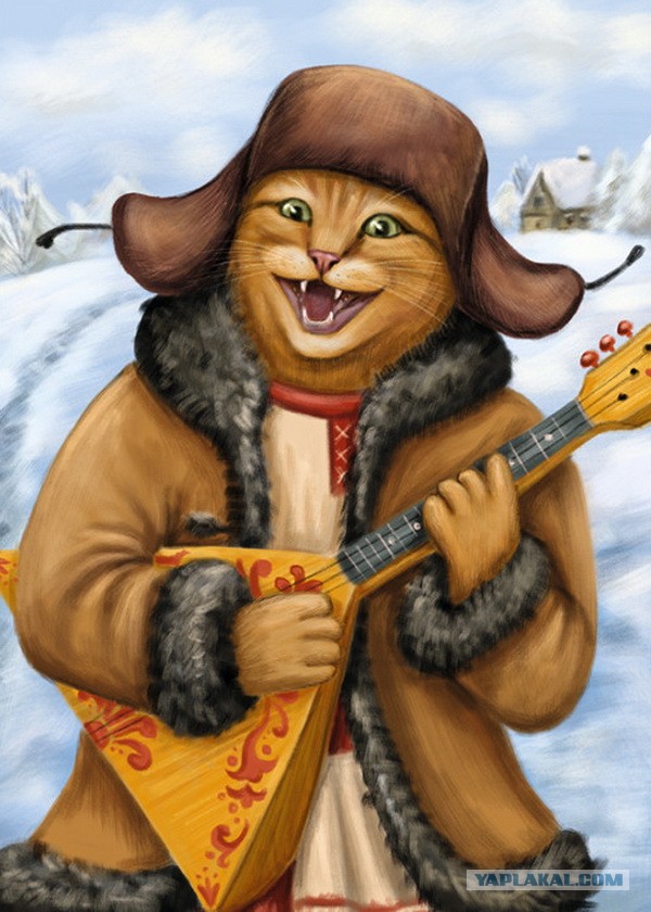 Россию сочли самой кошачьей страной мира