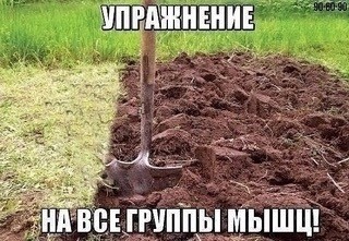 Нуштош 15.05.2024