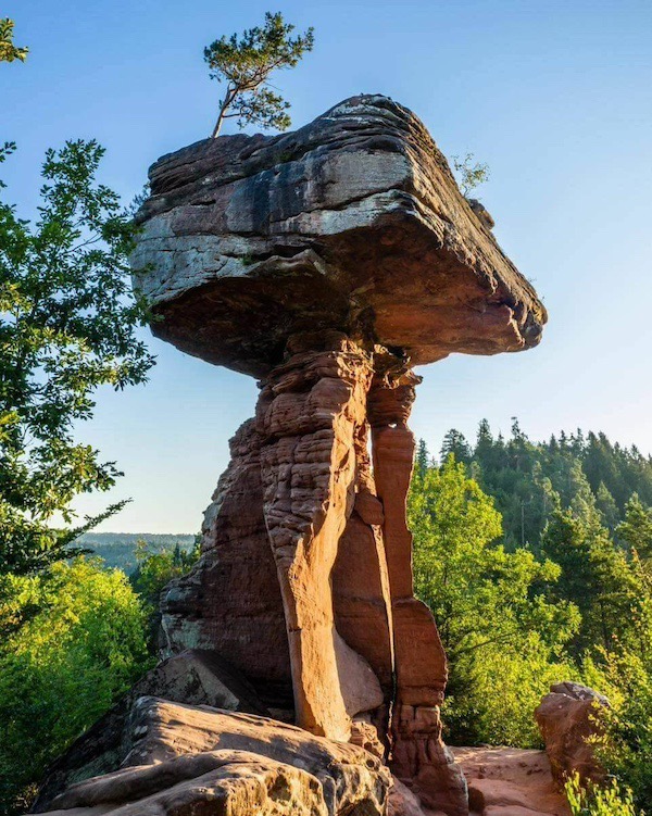 ФотоВинегрет