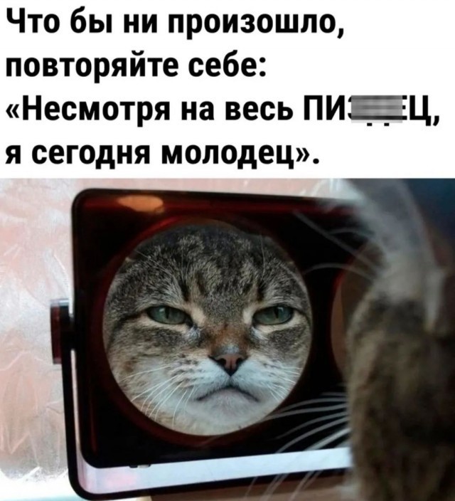 Нашëл за года