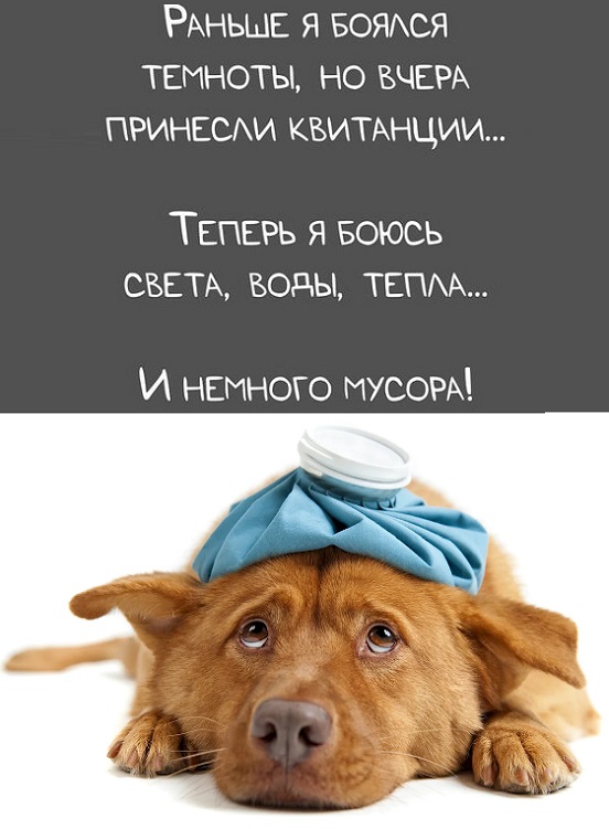 Картинки разные с надписями и без