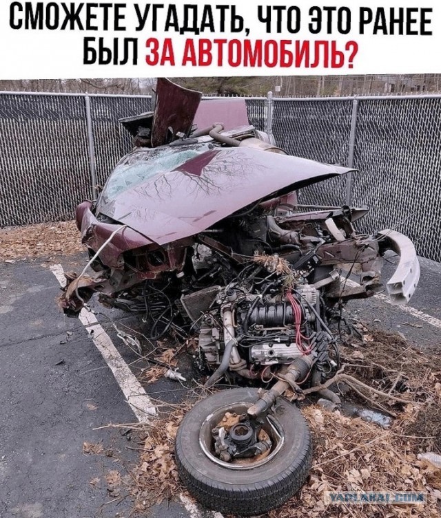 Так себе картинки 13.01.25