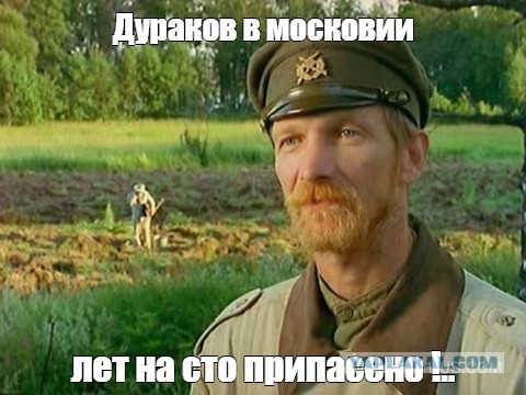 Обязательную регистрацию собак вводят в Подмосковье