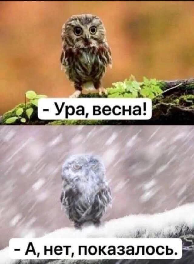 Завалялось тут случайно немного забавных картинок