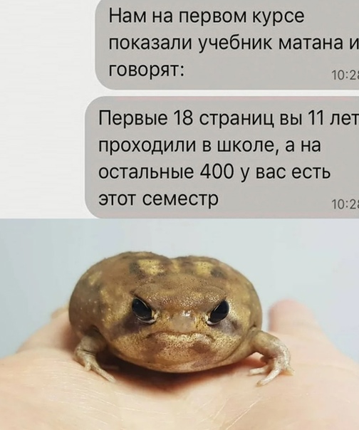 Картинки для деградации-5 (разной степени свежести)