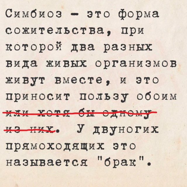 Так себе картинки 06.09.25