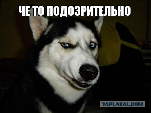 Очередного понедельника картинки