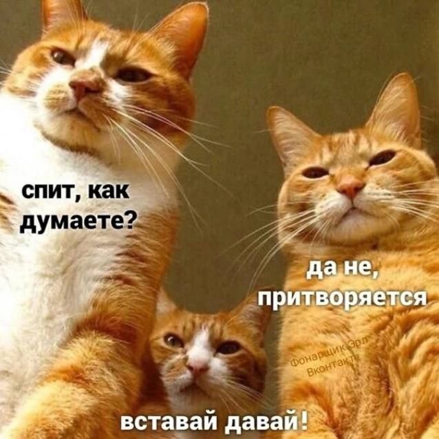 Картинки для деградации 92 (разной степени свежести)