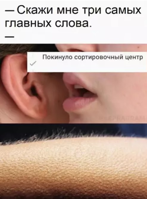 Картиночки, баянчики 29 марта