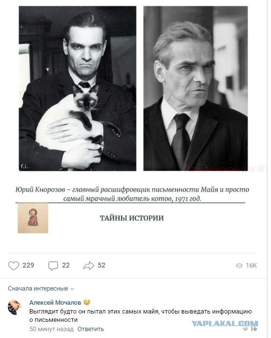 К котовторнику: подборка картинок-баянов с котиками и про котиков. Выпуск 33..