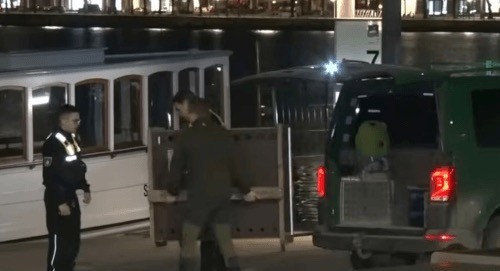 Волк, вцепившийся женщине в лицо, может поплатиться за это жизнью