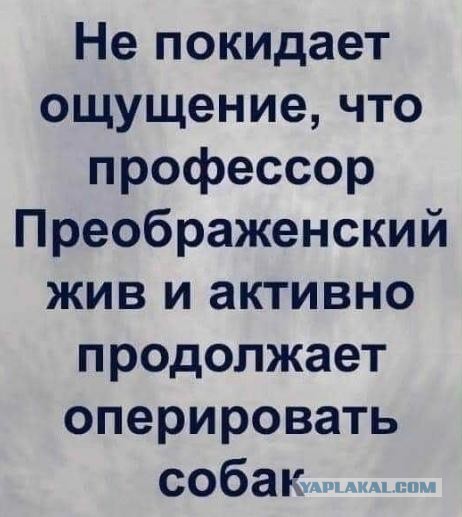 Немного про будущие выборы.