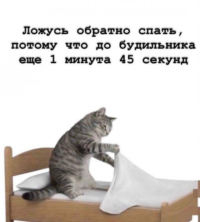Картинки без критики