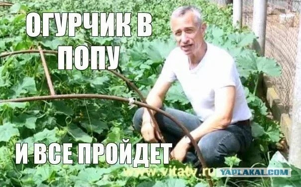 Клещ в анусе