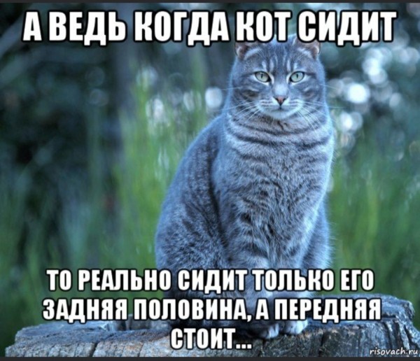 забавные картинки, шутки из этих ваших интернетов