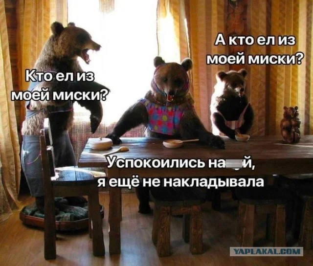 Привлекать к ответственности людей, подкармливающих и провоцирующих медведей, требуют в России