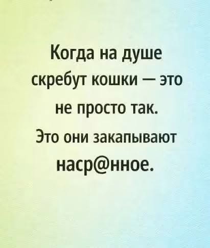 Картинки для деградации 293 (разной степени свежести)