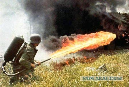 «Толерантность» в Европе?..