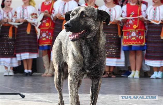 В Ужгороде умерла Душа города