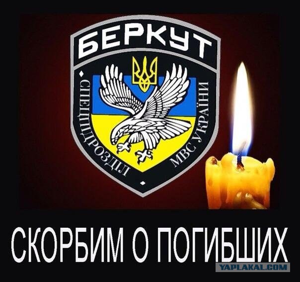 Беркуту выдали боевое оружие?