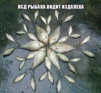 Легкой наркомании пост