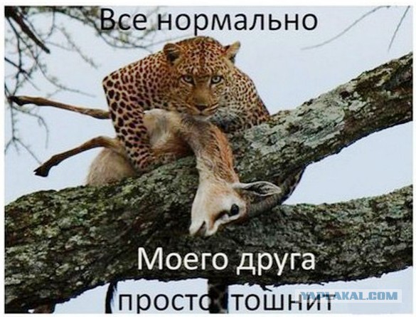 После того,как мужчина 7 часов трахал