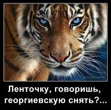 Бесславные ублюдки...